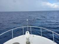 Great day of scuba diving in Key Largo with Rainbow Reef on spiegel grove tropical destiny 2021 07 02 r11329 3