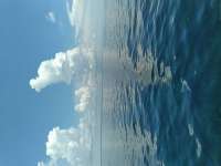 Great day of scuba diving in Key Largo with Rainbow Reef on spiegel grove tropical odyssey 2021 07 29 r11465 1