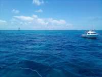 Great day of scuba diving in Key Largo with Rainbow Reef on tarpon run tropical adventure 2021 07 31 r11474 1