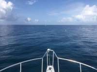 Great day of scuba diving in Key Largo with Rainbow Reef on tarpon run tropical serenity 2021 07 25 r11445 1