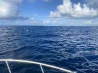 Great day of scuba diving in Key Largo with Rainbow Reef on uscgc duane tropical destiny 2021 07 15 r11369 1