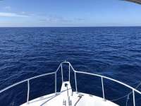 Great day of scuba diving in Key Largo with Rainbow Reef on uscgc duane tropical serenity 2021 07 04 r11337 1