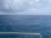 Great day of scuba diving in Key Largo with Rainbow Reef on winch hole tropical odyssey 2021 07 12 r11352 1