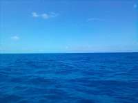 Great day of scuba diving in Key Largo with Rainbow Reef on woodys tropical adventure 2021 07 11 r11349 1