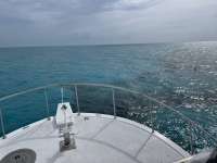 Great day of scuba diving in Key Largo with Rainbow Reef on banana patch tropical destiny 2021 06 21 r11288 2