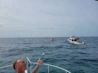 Great day of scuba diving in Key Largo with Rainbow Reef on benwood wreck santana 2021 06 21 r11284 1