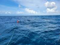 Great day of scuba diving in Key Largo with Rainbow Reef on benwood wreck tropical adventure 2021 06 27 r11311 2