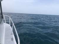 Great day of scuba diving in Key Largo with Rainbow Reef on benwood wreck tropical explorer 2021 06 15 r11254 1