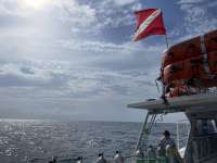 Great day of scuba diving in Key Largo with Rainbow Reef on benwood wreck tropical legend 2021 06 20 r11277 3