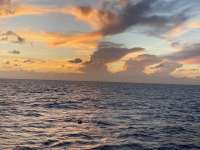 Great day of scuba diving in Key Largo with Rainbow Reef on benwood wreck tropical serenity 2021 06 09 r11234 1