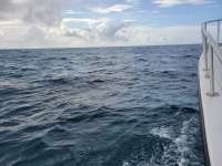 Great day of scuba diving in Key Largo with Rainbow Reef on christ statue tropical serenity 2021 06 22 r11294 1