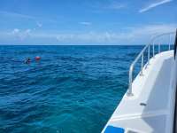 Great day of scuba diving in Key Largo with Rainbow Reef on christ statue tropical serenity 2021 06 22 r11297 2