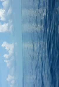 Great day of scuba diving in Key Largo with Rainbow Reef on conch wall tropical adventure 2021 06 02 r11210 2