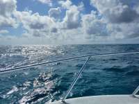 Great day of scuba diving in Key Largo with Rainbow Reef on crf nursery tropical explorer 2021 06 10 r11237 1
