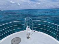 Great day of scuba diving in Key Largo with Rainbow Reef on french reef tropical legend 2021 06 10 r11239 1