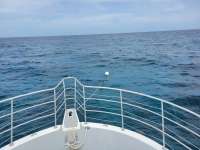 Great day of scuba diving in Key Largo with Rainbow Reef on french reef tropical odyssey 2021 06 19 r11272 1