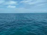 Great day of scuba diving in Key Largo with Rainbow Reef on french reef tropical odyssey 2021 06 20 r11276 1