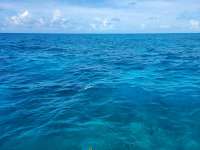 Great day of scuba diving in Key Largo with Rainbow Reef on french reef tropical odyssey 2021 06 26 r11307 1