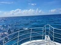 Great day of scuba diving in Key Largo with Rainbow Reef on french reef tropical odyssey 2021 06 26 r11307 3