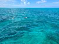 Great day of scuba diving in Key Largo with Rainbow Reef on minnow cave tropical legend 2021 06 02 r11206 1