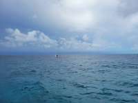 Great day of scuba diving in Key Largo with Rainbow Reef on molasses reef tropical destiny 2021 06 29 r11321 3