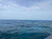 Great day of scuba diving in Key Largo with Rainbow Reef on molasses reef tropical legend 2021 06 19 r11268 1