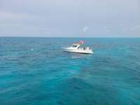 Great day of scuba diving in Key Largo with Rainbow Reef on molasses reef tropical serenity 2021 06 14 r11251 1