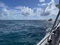 Great day of scuba diving in Key Largo with Rainbow Reef on spanish anchor tropical serenity 2021 06 27 r11313 3