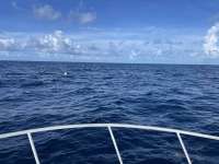 Great day of scuba diving in Key Largo with Rainbow Reef on spiegel grove tropical destiny 2021 06 26 r11310 2