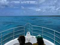 Great day of scuba diving in Key Largo with Rainbow Reef on spiegel grove tropical odyssey 2021 06 05 r11222 1