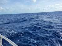 Great day of scuba diving in Key Largo with Rainbow Reef on uscgc duane tropical odyssey 2021 06 25 r11306 2