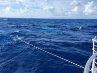 Great day of scuba diving in Key Largo with Rainbow Reef on uscgc duane tropical odyssey 2021 06 25 r11306 3