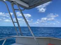 Great day of scuba diving in Key Largo with Rainbow Reef on benwood wreck santana 2021 03 13 r10778 1