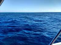 Great day of scuba diving in Key Largo with Rainbow Reef on benwood wreck tropical adventure 2021 03 30 r10853 1