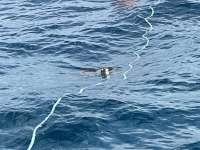 Great day of scuba diving in Key Largo with Rainbow Reef on benwood wreck tropical destiny 2021 03 29 r10851 1