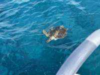 Great day of scuba diving in Key Largo with Rainbow Reef on benwood wreck tropical destiny 2021 03 29 r10851 2