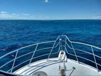 Great day of scuba diving in Key Largo with Rainbow Reef on conch ledge tropical adventure 2021 03 22 r10827 1