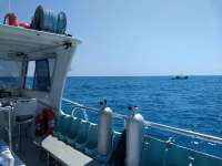 Great day of scuba diving in Key Largo with Rainbow Reef on crf nursery tropical explorer 2021 03 24 r10834 1