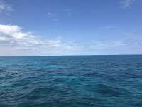 Great day of scuba diving in Key Largo with Rainbow Reef on double north tropical serenity 2021 03 21 r10820 1