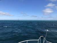 Great day of scuba diving in Key Largo with Rainbow Reef on eagle ray alley santana 2021 03 07 r10772 1