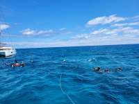 Great day of scuba diving in Key Largo with Rainbow Reef on eagle ray alley santana 2021 03 22 r10826 1