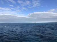 Great day of scuba diving in Key Largo with Rainbow Reef on eagle ray alley tropical serenity 2021 03 22 r10822 1
