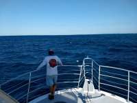 Great day of scuba diving in Key Largo with Rainbow Reef on fire coral cave tropical legend 2021 03 20 r10805 1