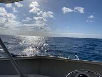 Great day of scuba diving in Key Largo with Rainbow Reef on french reef santana 2021 03 14 r10782 1