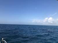 Great day of scuba diving in Key Largo with Rainbow Reef on french twist tropical serenity 2021 03 19 r10804 1