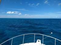 Great day of scuba diving in Key Largo with Rainbow Reef on minnow cave tropical destiny 2021 03 05 r10768 1