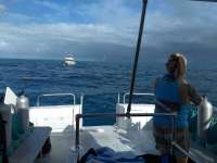Great day of scuba diving in Key Largo with Rainbow Reef on molasses reef tropical explorer 2021 03 29 r10852 1