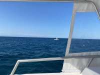 Great day of scuba diving in Key Largo with Rainbow Reef on molasses reef tropical serenity 2021 03 04 r10760 1