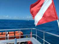 Great day of scuba diving in Key Largo with Rainbow Reef on permit ledges tropical serenity 2021 03 28 r10845 1