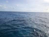 Great day of scuba diving in Key Largo with Rainbow Reef on snapper ledge tropical serenity 2021 03 02 r10755 1